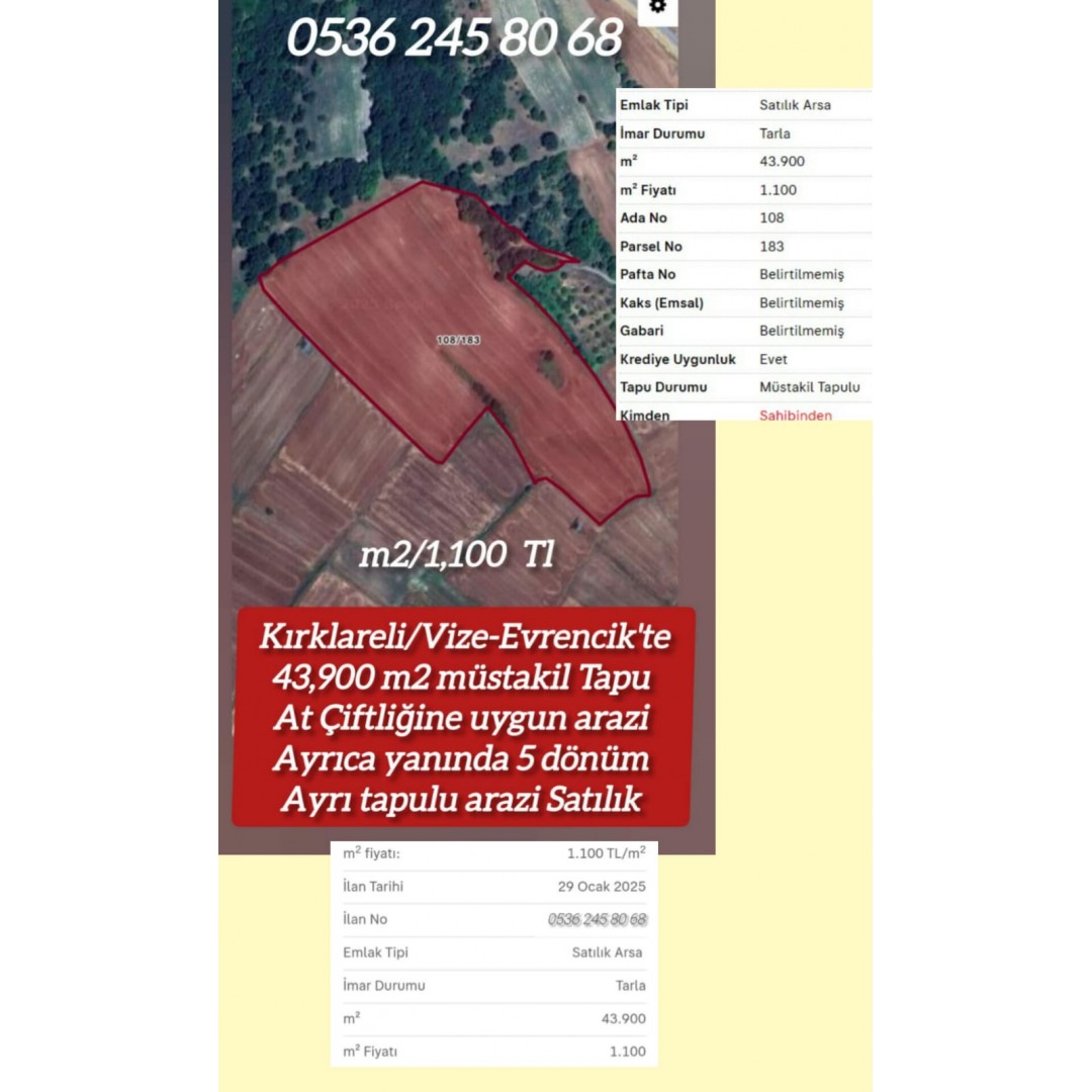 Kırklareli Vize Evrencikte At çiftliğine uygun tek tapu 43 dönüm diğer tapu 5 dönüm toplam 48 dönüm arazi m2 Fiyatı 1,100 tl