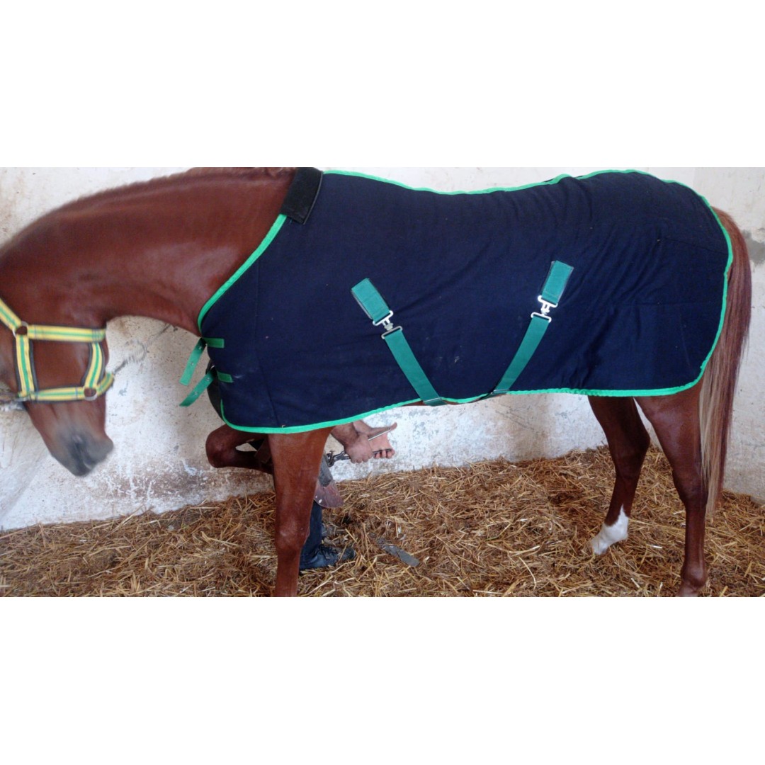 2 BUÇUK YAŞINDA ŞANLIURFA HİPODROMUNA İNDİ İDMANLARA BAŞLADI (ALANDER 2 y d.e Doğ. Trh 2.04.2023 AFRİKAANDER AL SERAY / İBOCAN) 05418185301