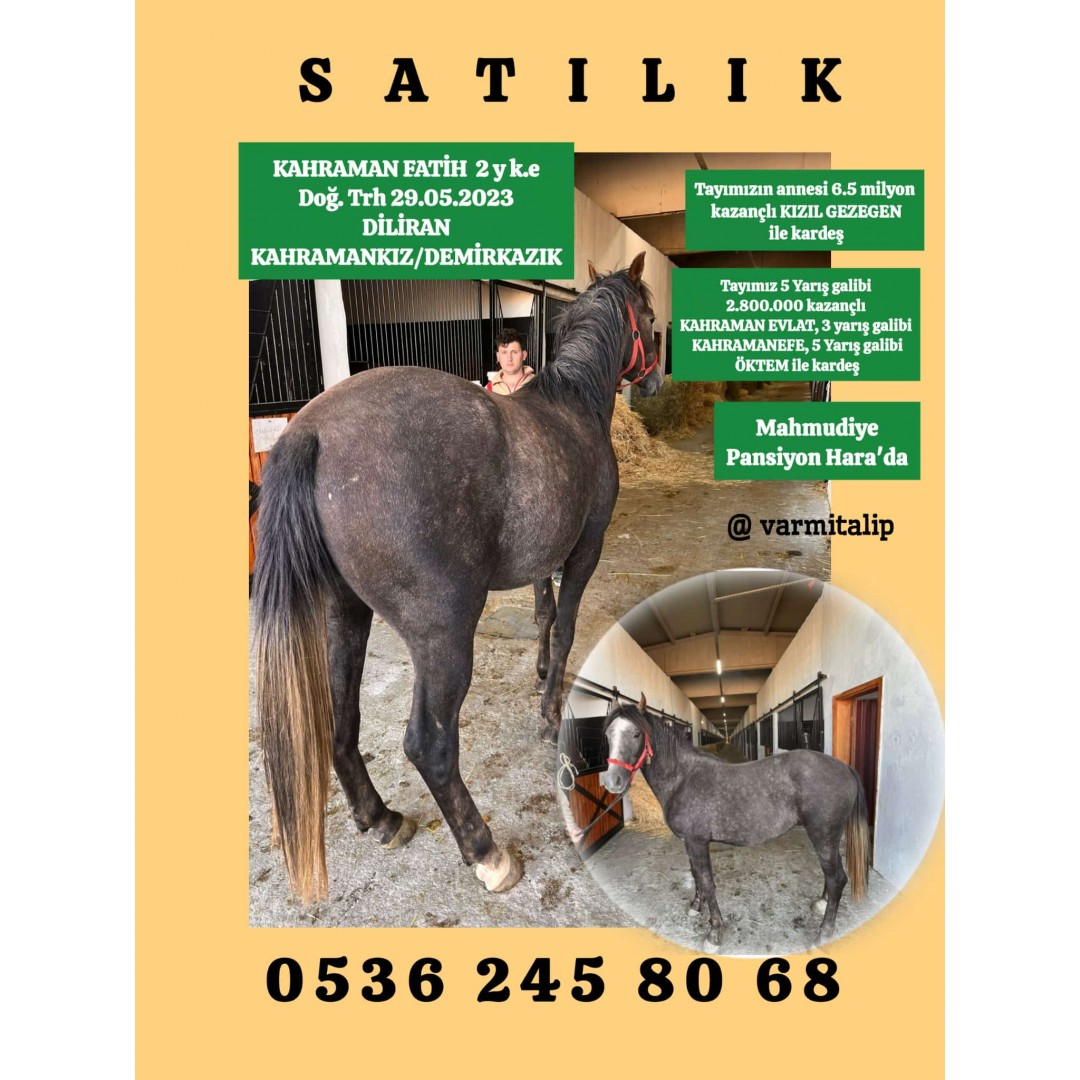 KAHRAMAN FATİH  2 y k. ERKEK (DİLİRAN-KAHRAMANKIZ/DEMİRKAZIK)