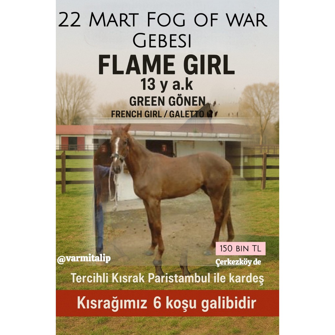 #FogOfWar Gebesi  #GreenGönen kızı damızlık Flame Girl