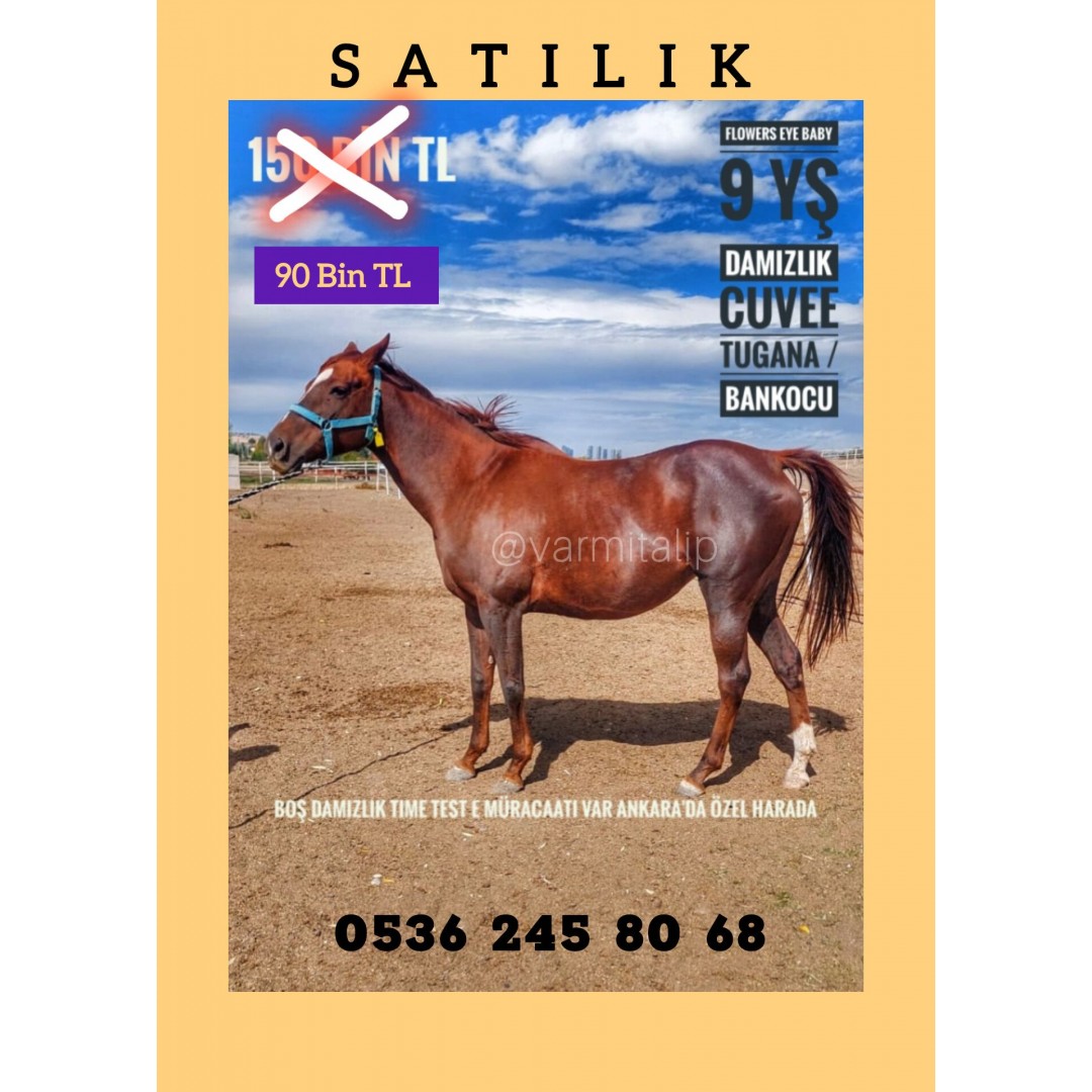 CUVEE KIZI BOŞ DAMIZLIK KISRAK FLOWERS EYE BABY ANKARADA 05362458068  KISA BİR SÜRELİĞİNE SADECE 90 BİN TL