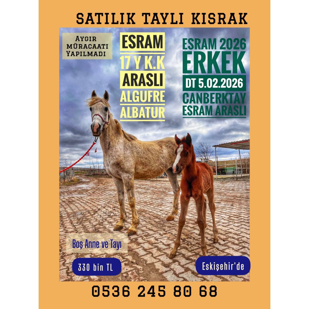 ARASLI KIZI BOŞ DAMIZLIK ESRAM VE YANINDA ERKEK CANBERKTAY TAYI İLE BERABER 330 BİN TL