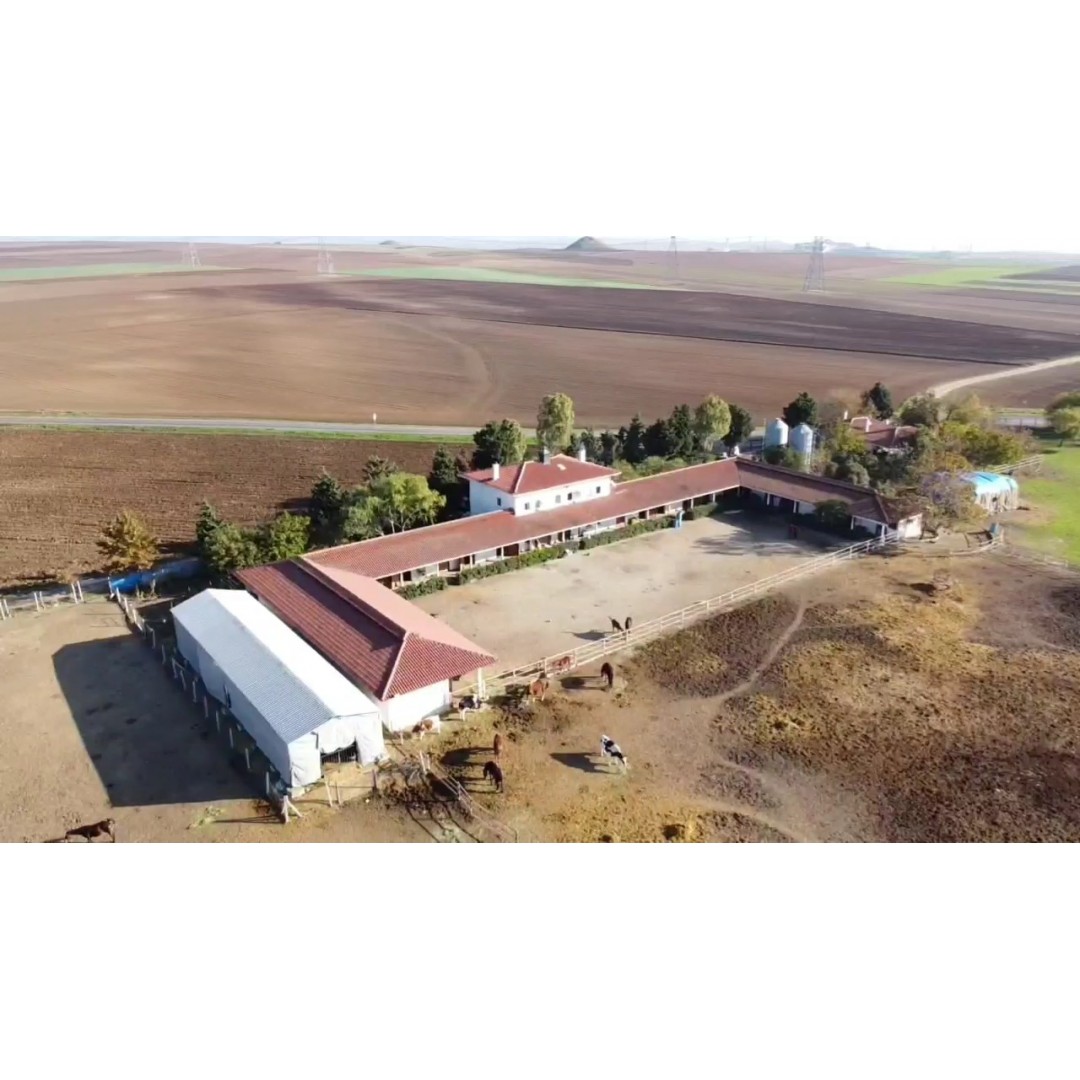 36 DÖNÜM 26 LOCA AHIR TEKİRDAĞ MARMARA EREĞLİSİNDE FAAL DURUMDA DEVREN KİRALIK VEYA TALEP GELİRSE SATILIK ÇİFTLİK