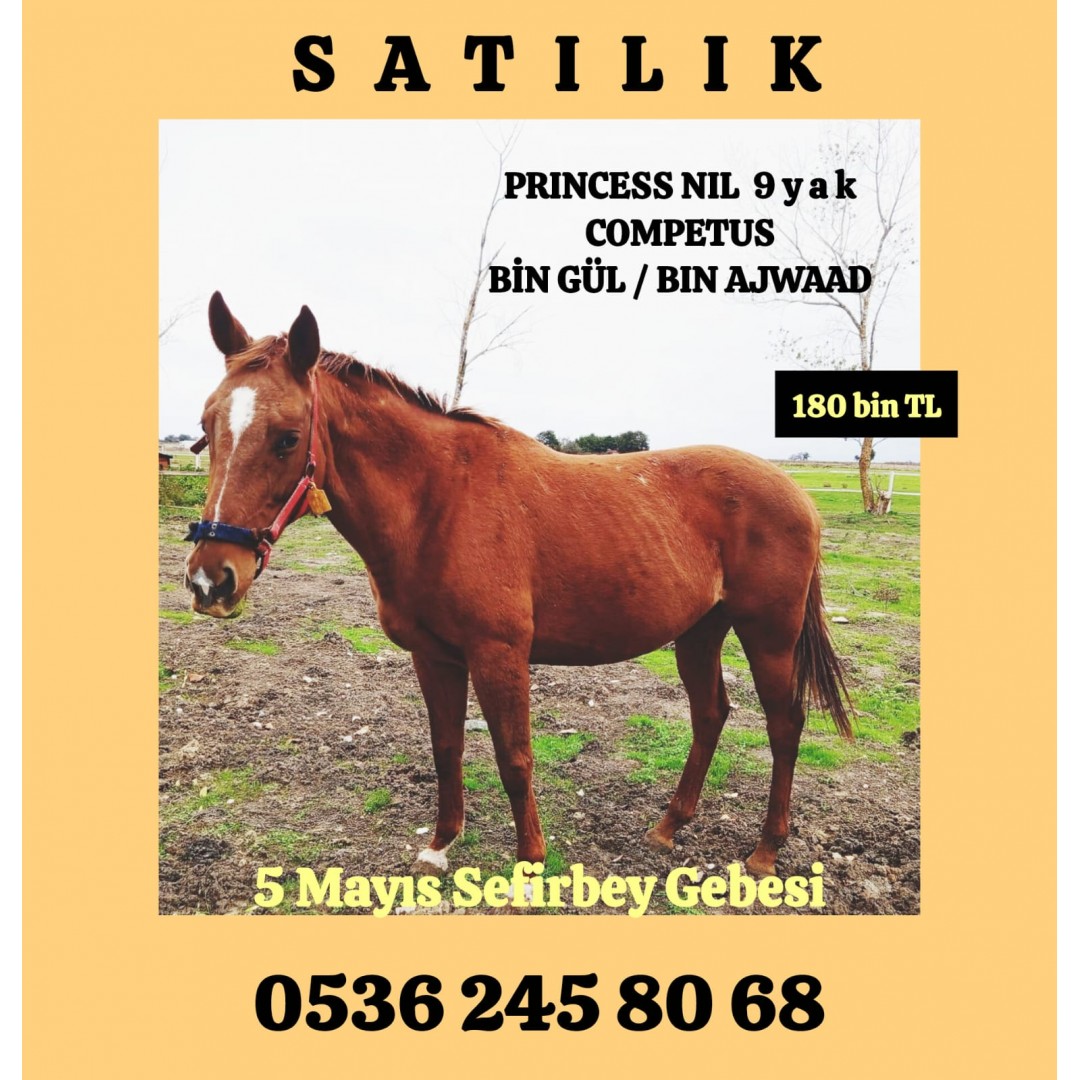 SEFİRBEY GEBESİ KISRAK PRINCESS NİL