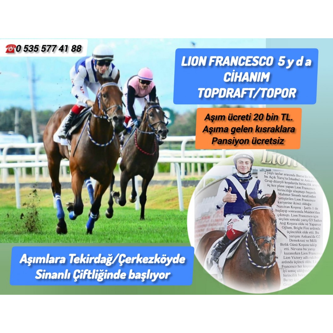 5 YAŞINDA GENÇ AYGIRIMIZ LION FRANCESCO 20 BİN TL AŞIM ÜCRETİYLE TEKİRDAĞ/ÇERKEZKÖY SİNANLI ÇİFTLİĞİNDE AŞIMLARA BAŞLADI