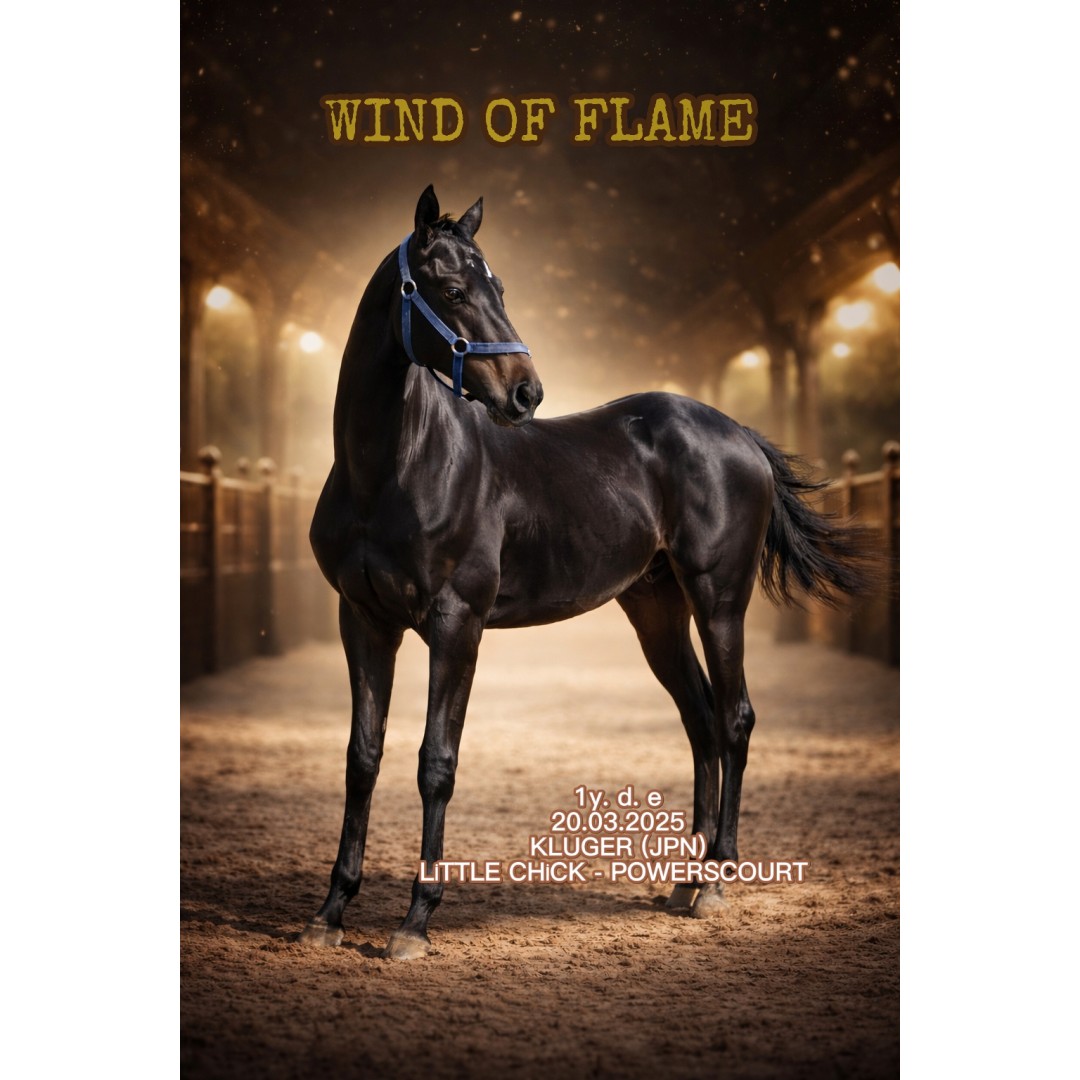 Şampiyon Adayı Kaçırılmaz fırsat 