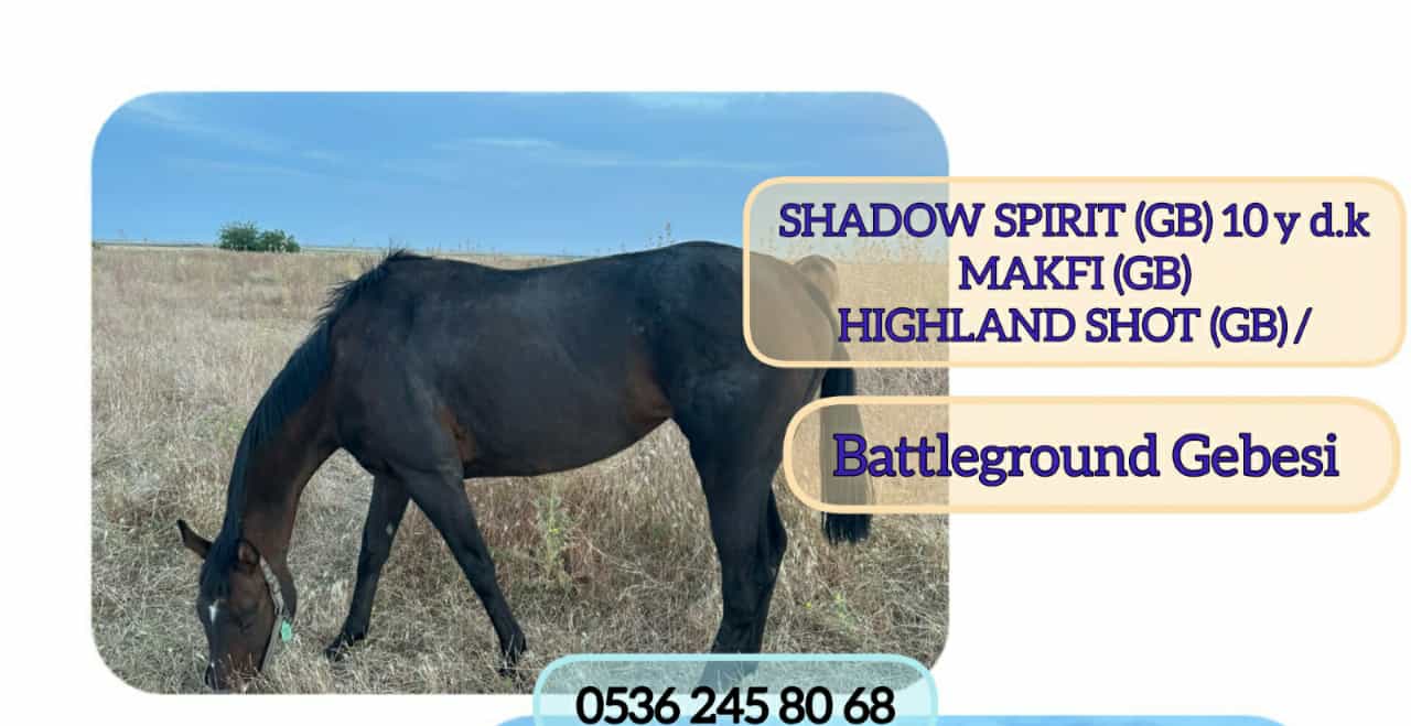 Battleground Gebesi KISRAK SHADOW SPIRIT 