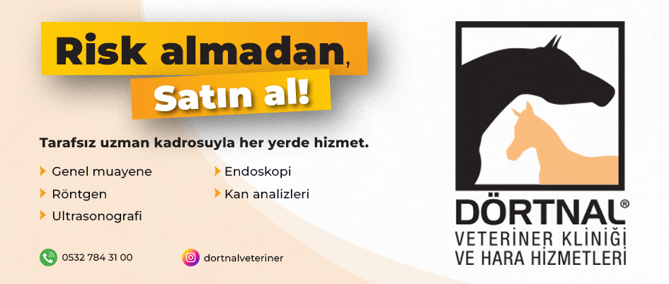 Dörtnal Veteriner